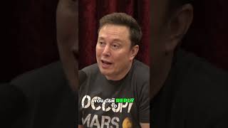 Elon on John Kerrys Controversial Take on the First Amendment [upl. by Lindahl]