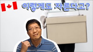 캐나다에서는 이런 이유로도 해고한다고  세가지 직접 목격담 [upl. by Lletnohs]