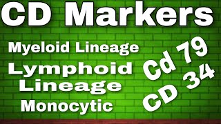 Specific CD Markers in Acute Leukemias [upl. by Britton]