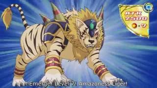 Amazoness Liger [upl. by Cavanaugh]