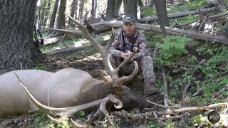 392 inch Bull Elk Shannon kills a record book bull in WA State [upl. by Amles]