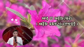 채용화  체념 가사 원곡 유튜브 실시간 방송중 진미령 미운사랑곡 원곡 가수 이십니다 [upl. by Basilio]