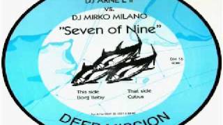 DJ Arne L II vs DJ Mirko Milano  Cubus Seven Of Nine [upl. by Corvese]