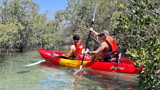 Eastern Mangroves Adventure Abu Dhabi Kayaking from Anantara Hotel Exploring United Arab Emirates [upl. by Ybur120]