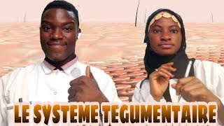 LE SYSTEME TEGUMENTAIRE [upl. by Eigroeg557]