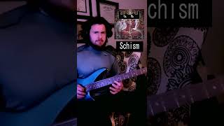 Tool Schism Intro Bass Cover Part 2 [upl. by Eseela916]