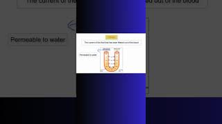 LOOP OF HENLE KIDNEYS kidney osmosis renal physiology nephron filtration water cell [upl. by Gibbie]