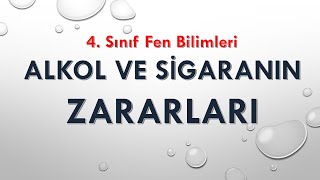 4 Sınıf Fen Alkol ve Sigaranın Zararları [upl. by Stovall]