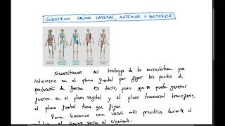 ERGOBIKE BIOMECÁNICA CICLISTA Cadenas musculares y planos de movimiento en ciclismo BIKEFIT [upl. by Ikceb]