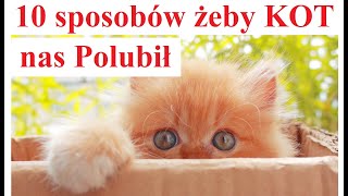 10 sposobów żeby KOT nas Lubił [upl. by Julianne]