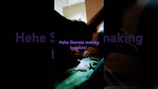 Stormie Daily Making Buiscuts [upl. by Aihsenrad]