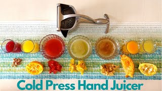 Cold Press Hand Juicer  Performance  Pomegranate  Orange  Apple  Watermelon  Pineapple [upl. by Gregson]