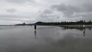 Cox Bay Beach  Tofino I Ucluelet  BC  Canada [upl. by Weisler984]