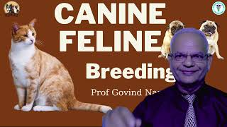 Canine and Feline Reproduction  Essential Guide by GNP Sir [upl. by Aerised800]