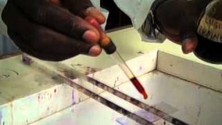 How to Prepare a Gram Stain  MultiLingual Captions [upl. by Ohcirej903]