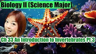 Ch 33 An Introduction to Invertebrates Part 3 [upl. by Angelia]