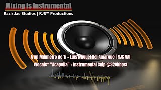 🔊 Subs Request A un Milimetro de Ti  L Miguel  RJS VAI Vocs quotAcaquot  Ins Snip 320kbps shorts [upl. by Ress]