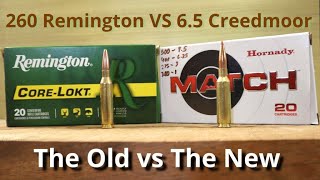 260 Remington vs 6 5 Creedmoor Is The Old vs The New [upl. by Atilal]