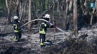 Waldbrand zwischen Speyer und Dudenhofen [upl. by Slosberg748]