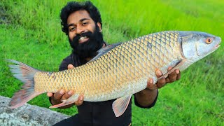 5 KG BIG FISH GRILLED WITH HOT CHEESE പെടക്കണ മീൻ ചുട്ടെടുത്തത്  M4 TECH [upl. by Giark649]