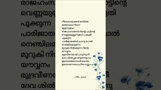 Ariyathe Ariyathesongtrendinglovewhatsappstatusshortsshortsfeedshortsvideoshortsvirallyrics [upl. by Silirama]