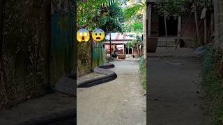 Big Anaconda Snake Chasing Boy video। Vfxgaurav P10 🐍 Shorts [upl. by Ahsar986]