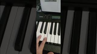 Casio Casiotone CTS200 9 Octave Piano [upl. by Naesad]