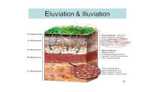 Process of Soil Formation Soil science 12 [upl. by Kcira]