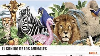 Aprendemos el sonidos de los animales para niños parte 1 [upl. by Culver]