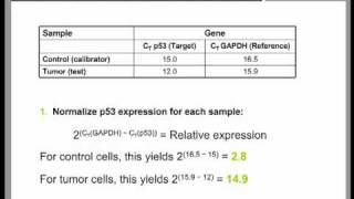 Real Time QPCR Data Analysis Tutorial part 2 [upl. by Nannah]