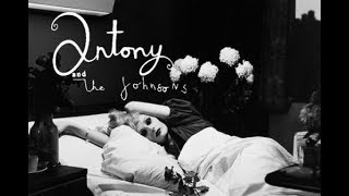 Antony amp The Johnsons  Fistful Of Love [upl. by Sherman]