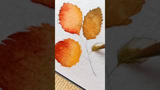 Quick watercolor autumn leaf [upl. by Ahsar]