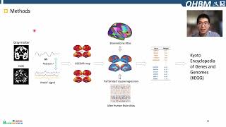 OHBM 2022  145  Talk  Pindong Chen  Altered global signal topography in Alzheimer’s disease co… [upl. by Eelime]