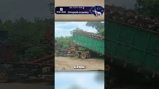 Завораживающая установка кузова на раму грузовика 😮🔥🚚 [upl. by Cedric397]