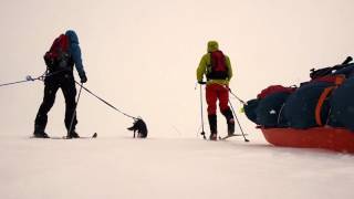 Med ski og pulk over Hardangervidda [upl. by Aihsital]