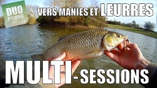 Multi sessions  Multi techniques  Gros chevesne et brochet [upl. by Feld]