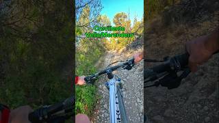 🚀MTB 📍Crevillente desde la vella al merendero mtb bicicleta elche deportes Ciclismo montaña [upl. by Delcina]