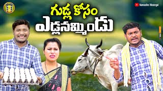 గుడ్ల కోసం ఎడ్లనమ్మినండు  TELUGU NEW VILLAGE COMEDY SHORT FILM  SHANKAR COMEDY [upl. by Dewhurst114]