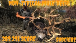 MY FIRST NONTYPICAL MULE DEER  thehunter Classic [upl. by Ecissej]