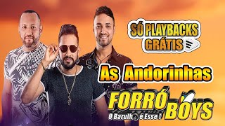 PLAYBACK  FORRO BOYS  AS ANDORINHAS  GRATIS [upl. by Kcim]