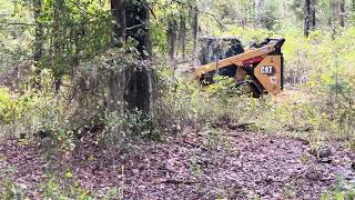 Extreme Brush Mulching with cat 299D3 mulching landclearing forestrymulcher [upl. by Sirraf536]