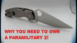 3 Reasons You Should Get a Spyderco PM2 [upl. by Maxim921]