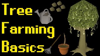 Basic Tree Farming Guide 2021 OSRS [upl. by Latia812]