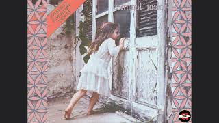 semmeF tneloiV Violent Femmes reversed Full Album [upl. by Acinonrev]