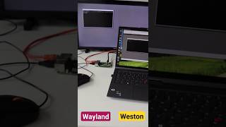 Raspberry Pi 5 VNC Screen Sharing in Wayland and Weston shorts raspberrypi [upl. by Ozmo]