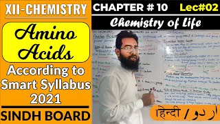 104 Amino Acids in UrduHindi  CH10  Chemistry of Life  XIIChemistry  Sindh Board [upl. by Malim80]