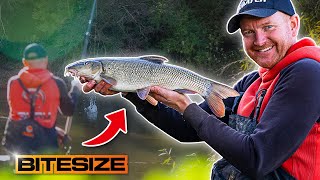 Flooded River Fishing Tips  Guru Bitesize 054 [upl. by Irbua]