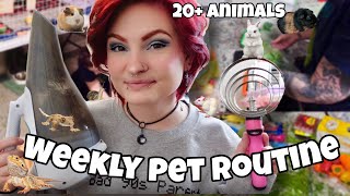 MY WEEKLY PET ROUTINE W 20 ANIMALS 🐾 [upl. by Lahcar]