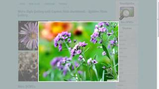 Lightbox Gallery  Easy export to Joomla module or Wordpress lightbox plugin [upl. by Arbuckle249]