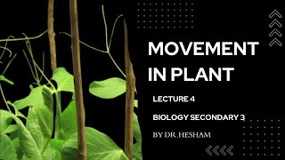 lecture 4 movement in plant  senior 3 [upl. by Duj]